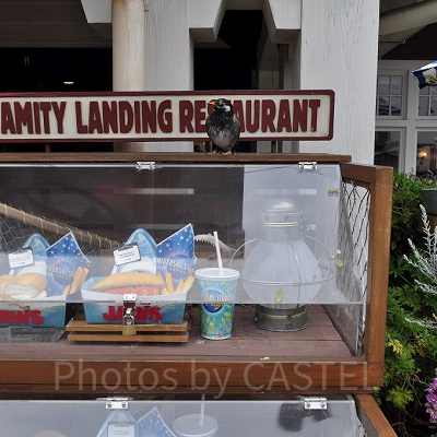 アミティエリア「アミティ・ランディング・レストラン」／USJ