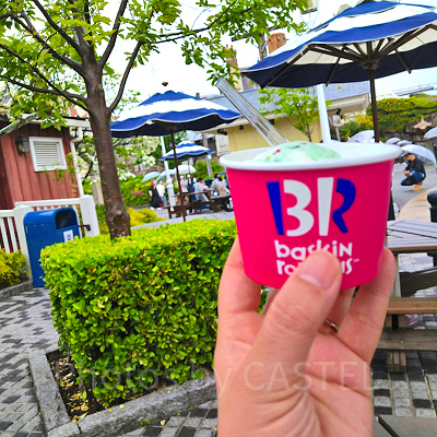 アミティ・アイスクリームのカップアイス