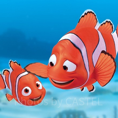 カクレクマノミの親子と仲間たちの冒険物語