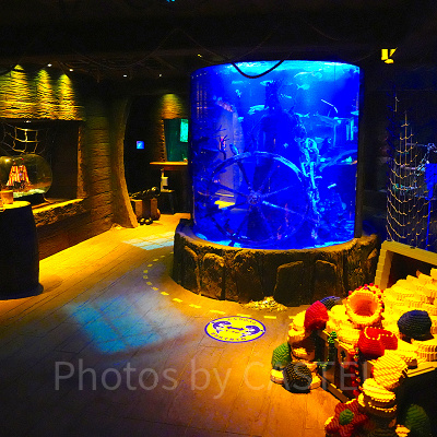 生き物とレゴ ブロックが融合した展示