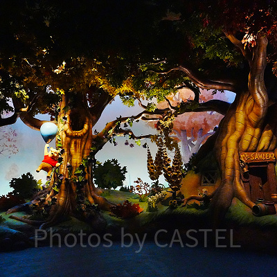 先が読めないコース（プーさんのハニーハント）