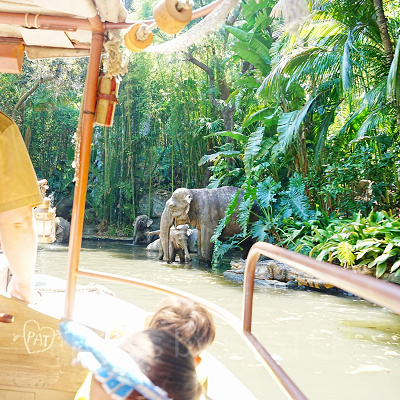 カリフォルニアアナハイムディズニーのアトラクション：ジャングル・クルーズ