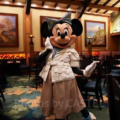 カリフォルニアアナハイムディズニー：気候・冬の天気