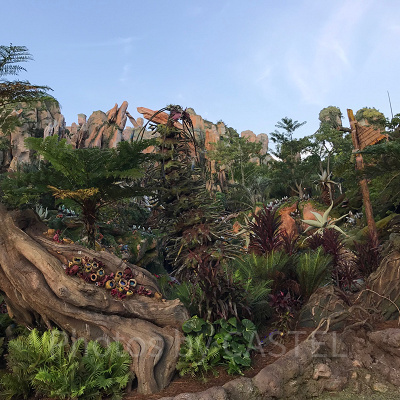 アニマルキングダムアバターエリア