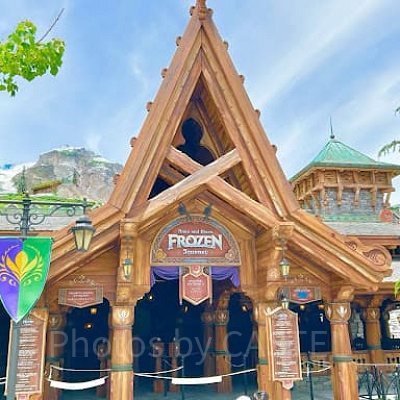 アナとエルサのフローズンジャーニー