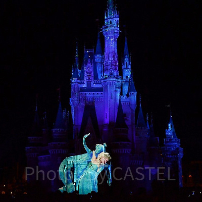 アナが凍ってしまう