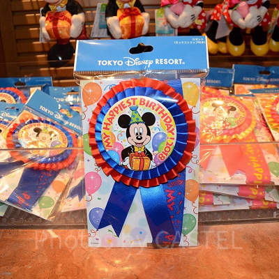 ディズニーランドでの記念日のモデルプラン