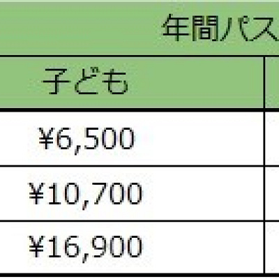 年間パスポート値段表