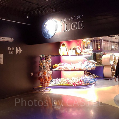 アクアパーク品川お土産屋「アクアショップ ルーチェ」