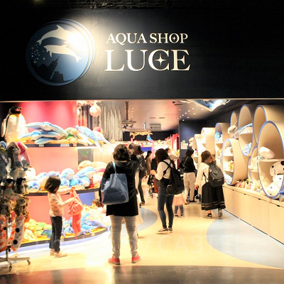 アクアショップ ルーチェ