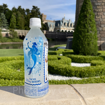 アリエル柄のソルティライチ