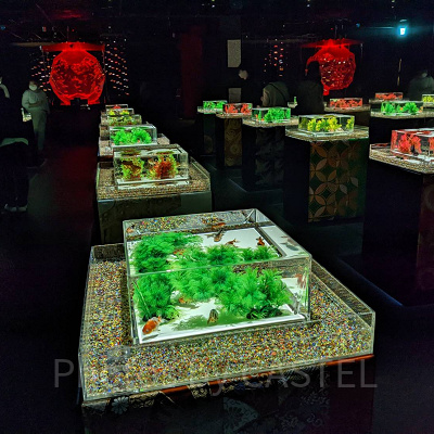 アートアクアリウム銀座　サムネ