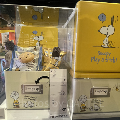 チョコチップクッキーとチョコのアソート