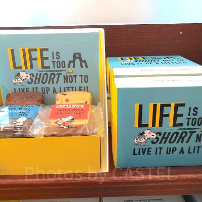 フルーツケーキとチョコレートケーキのアソート