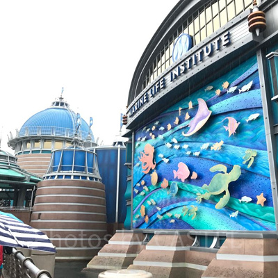 アトラクション概要