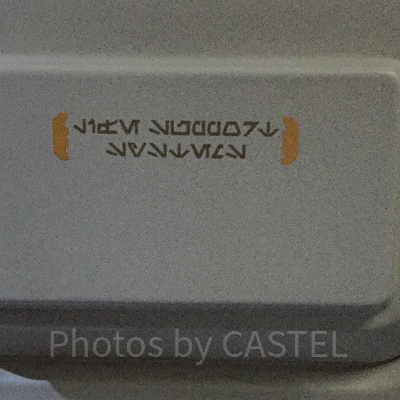 スターツアーズの機内に書かれているオーラベッシュ