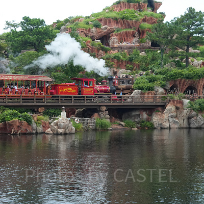 本物の蒸気機関車のウエスタンリバー鉄道