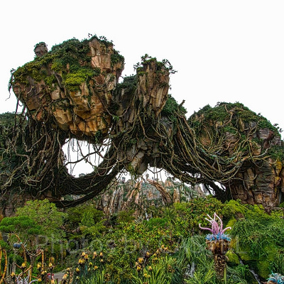 アバターエリア