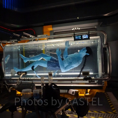 アバター・フライト・オブ・パッセージ