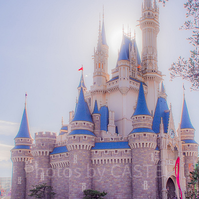 混雑を回避してディズニーリゾートを楽しもう♪