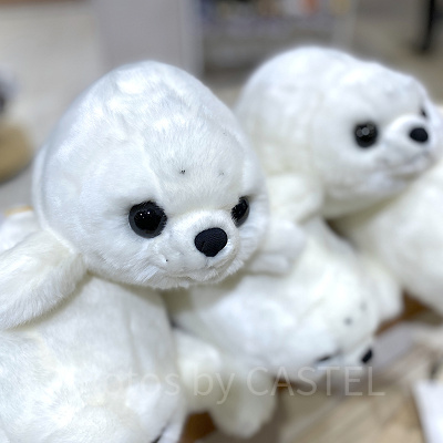 赤ちゃんアザラシ