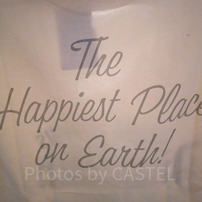 Ｔシャツ裏側（ディズニー100周年グッズ）