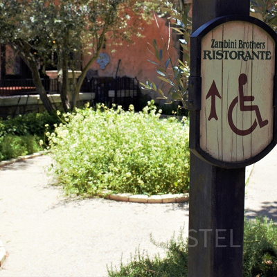 裏庭のハーブガーデン