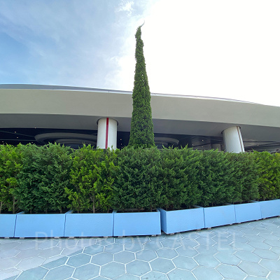 ベイマックスエリア