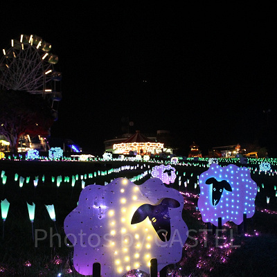 ライトアップされてきれいなナイト遊園地