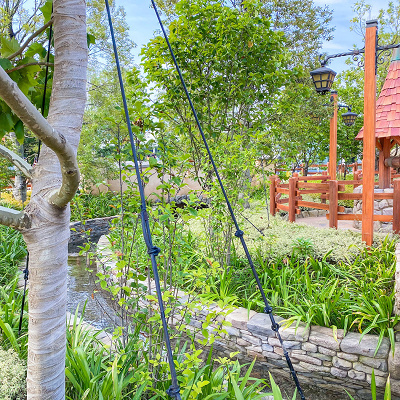 美女と野獣エリア