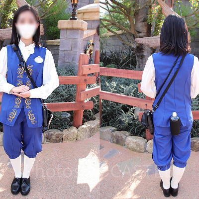 美女と野獣“魔法のものがたり”のコスチューム