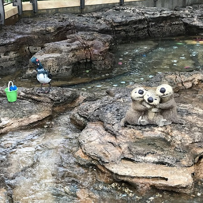 ベッキーやナマコたちも屋外で皆さんをお出迎え。