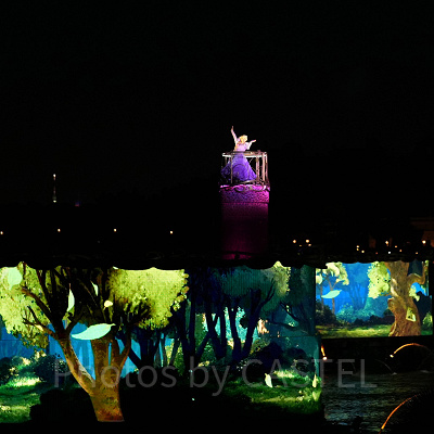 ビリーヴ：ラプンツェルのシーン