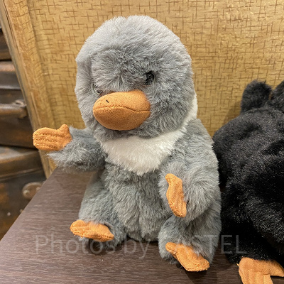 黒以外にも灰色のニフラーもいる