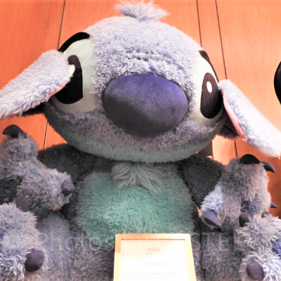 大きなサイズも！