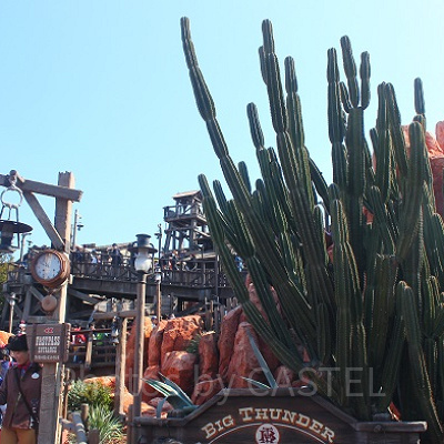 ビッグサンダー・マウンテンのトリビア