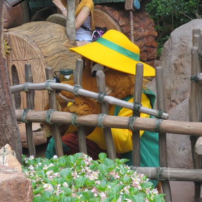 ブレア・フォックス