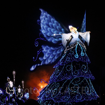 ブルーフェアリーのフロート