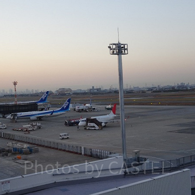 飛行機の予約は早めがお得！