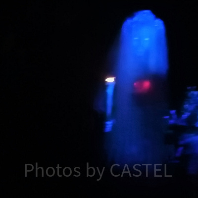 ホーンテッドマンションの花嫁は2人いる？