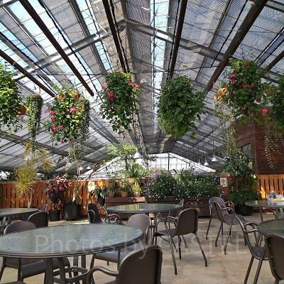 バイキングレストラン　フラワーフォレスト