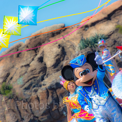 ディズニーランドやシーでミッキーグッズを購入しよう！