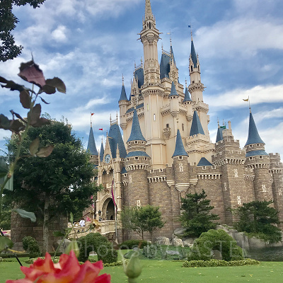 ディズニーランドも貸し切れる？