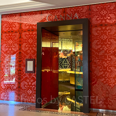 ディズニーランドホテル：カンナ