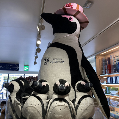 ケープペンギンぬいぐるみ