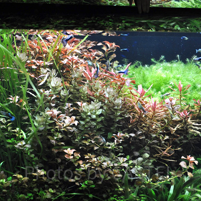 CAVEはじまりの洞窟／神戸アートミュージアムアトア