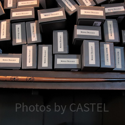 セドリック・ディゴリーの杖