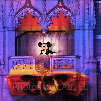 Celebrate！ Tokyo Disneylandのミッキー