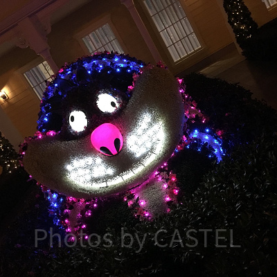 セレブレーションホテル：ウィッシュの中庭