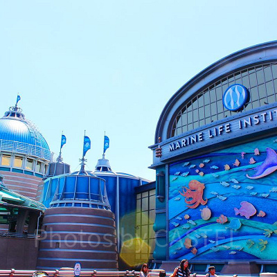 海洋生物研究所に住むキャラクター